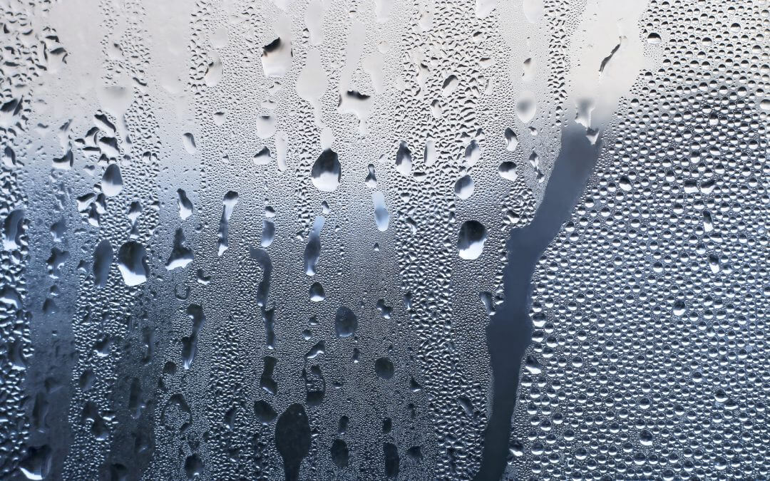 Condensation on Walls How to Prevent Condensation Atlantis Property Preservation