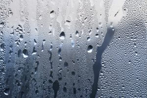 Prevent and treat condensation in Northwich