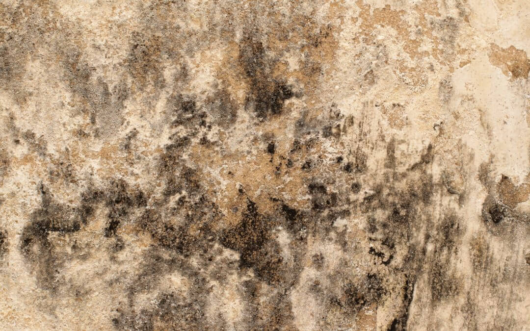 C is for…… Condensation