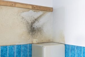 damp proofing explanation