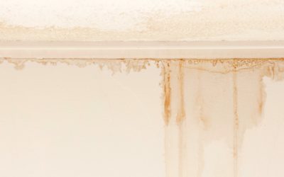 Can I claim on my Home Insurance to fix my damp?