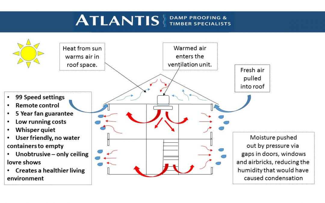 Subfloor Vents