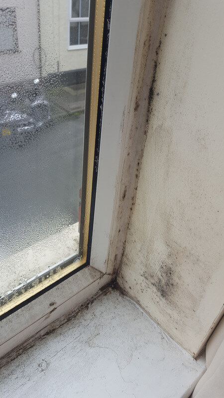 Window and Wall Condensation in Winsford property