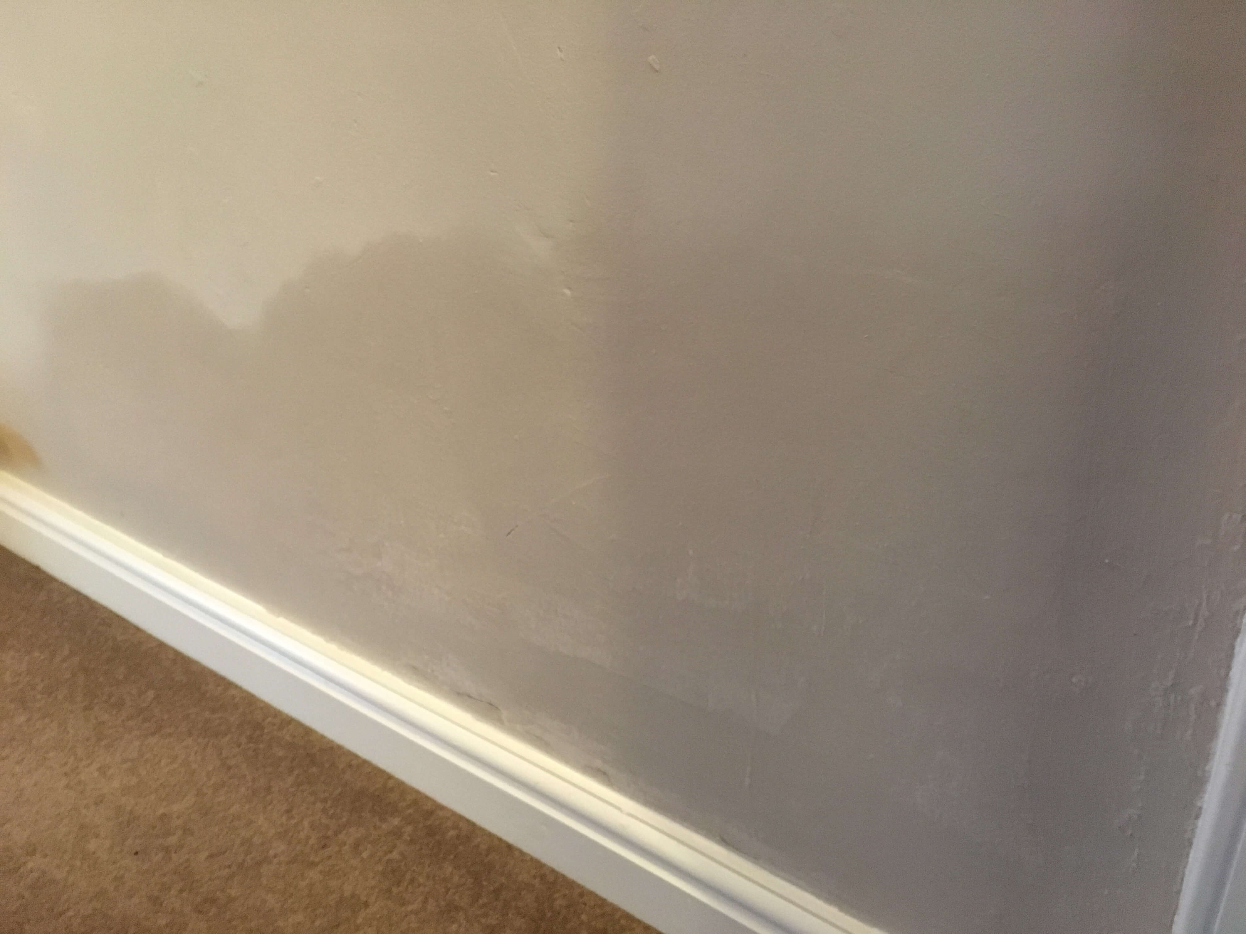 Rising Damp in Winsford, Cheshire Rising Damp in wall in Winsford, Cheshire