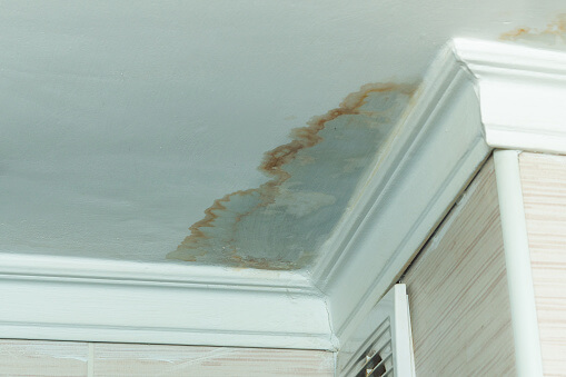 effects of damp on a roof